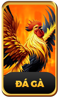 đá gà